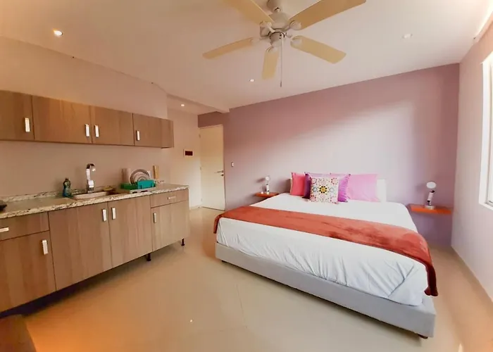 Playa Centro Rooftop & Appartement *